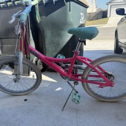 Kids 20” Bike