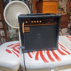 Roland Electric Guitar Amplifier 