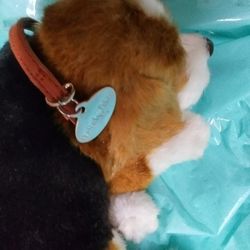 Petszzz , It Breaths Stomach Moves It Appears To Be Real. Takes Batt