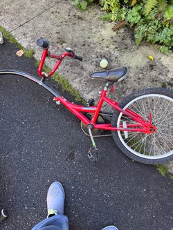 Schwinn runabout tag along