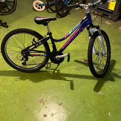 Schwinn 24” Kids Bike