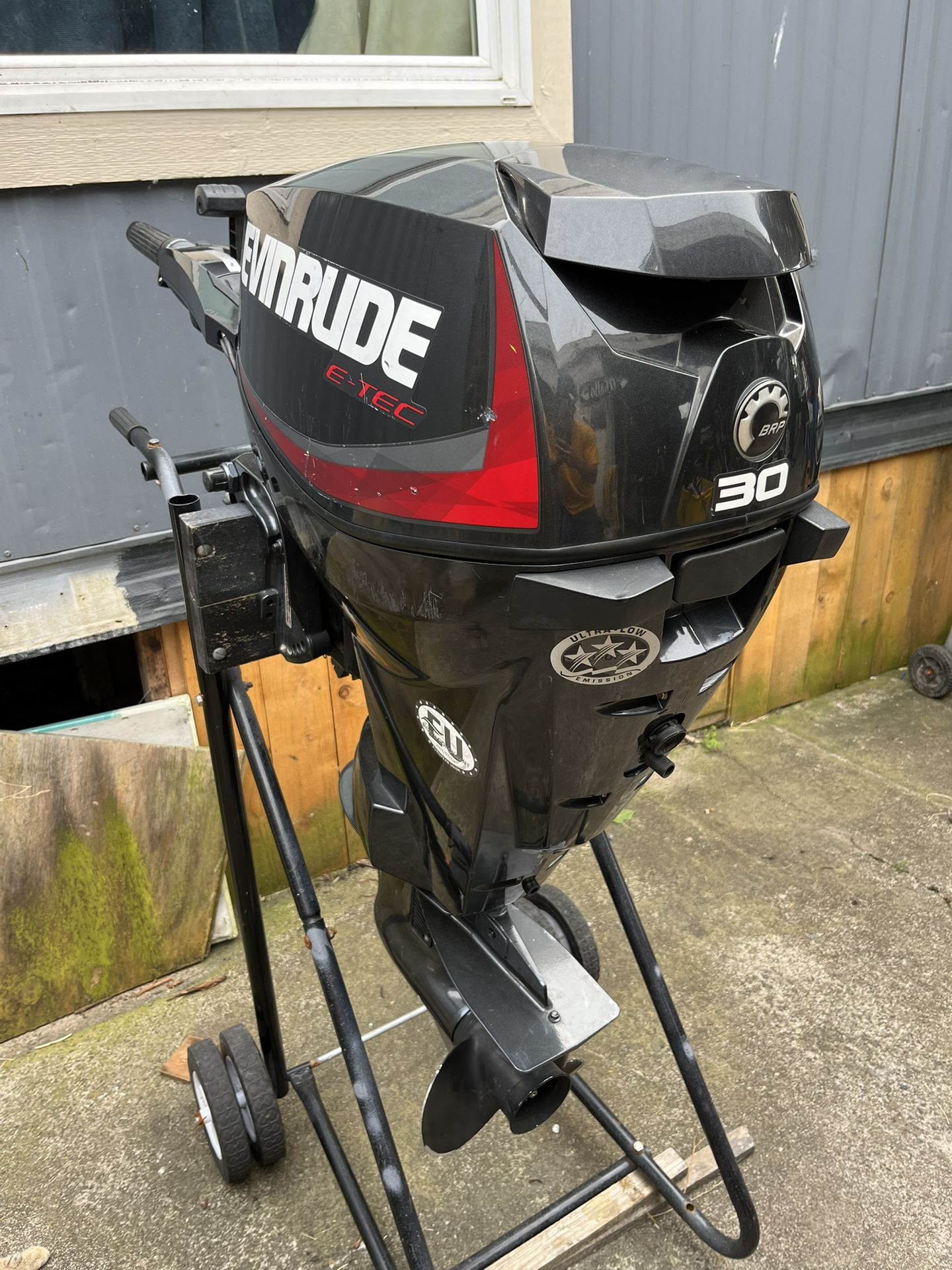 Evinrude Etec 30