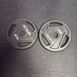 (2) 25lb Olympic Weight Plate For Barbell