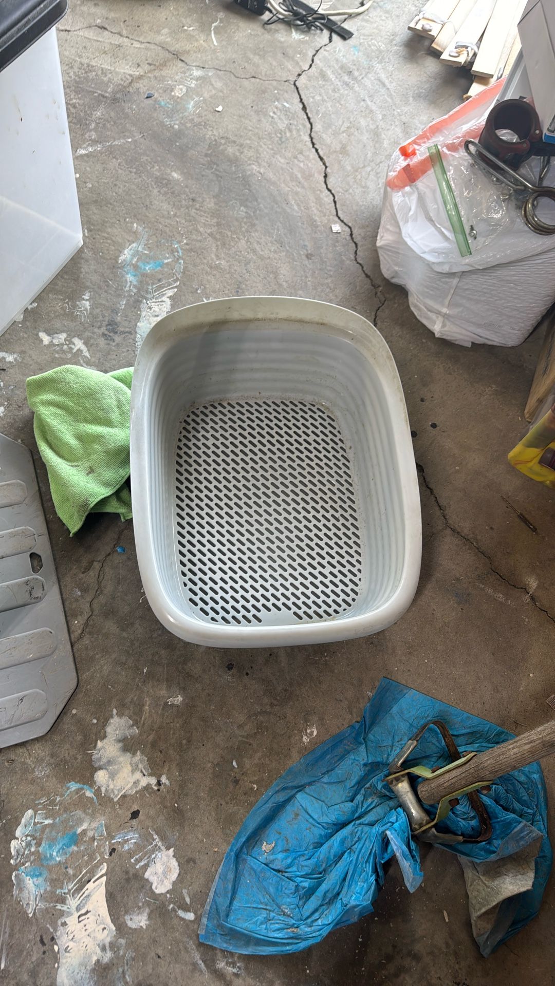 Free Cat Litter