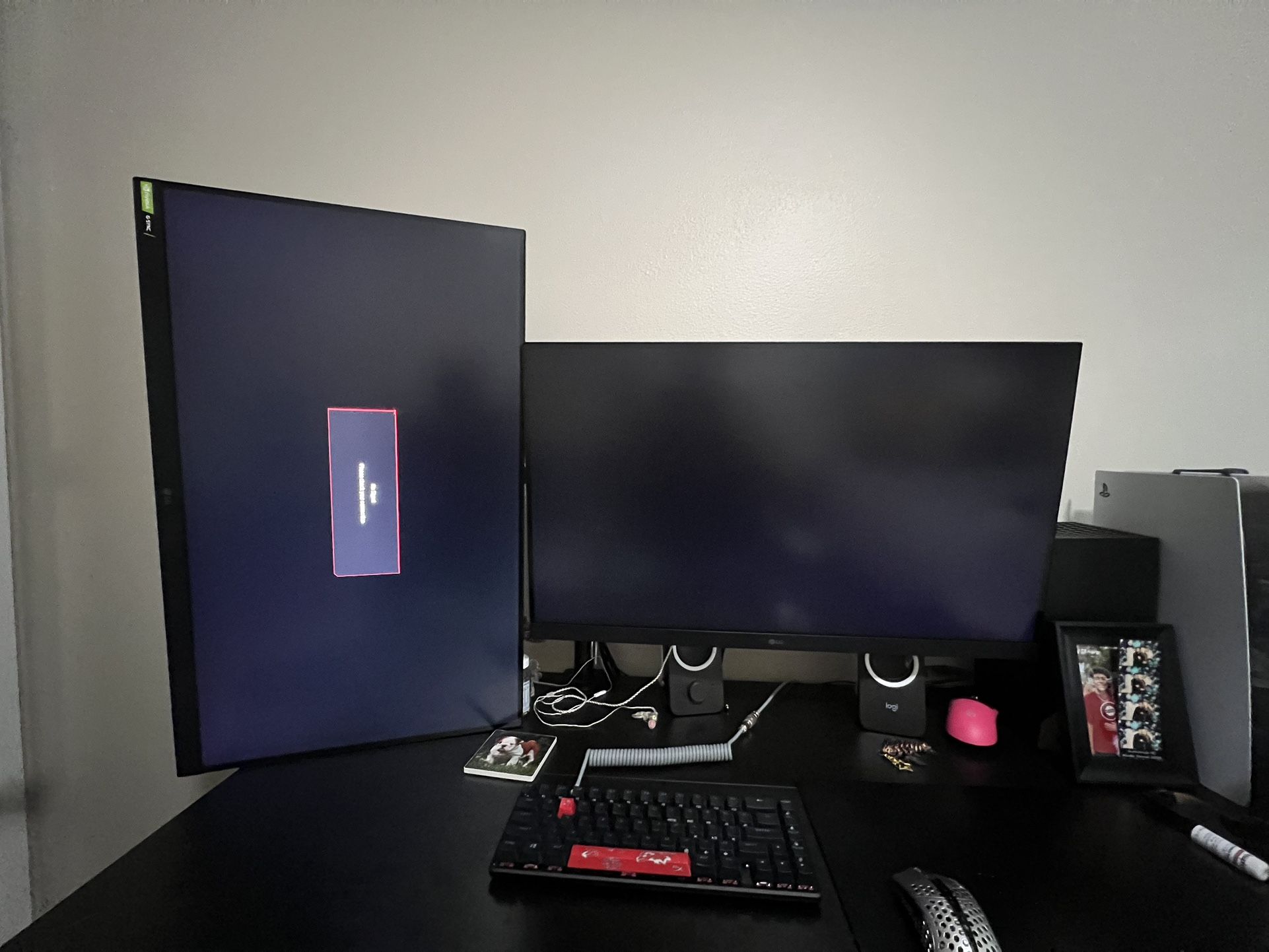 Two Lg Monitors
