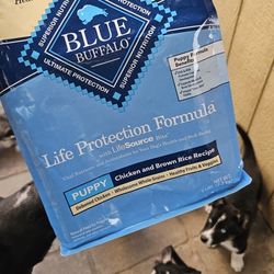 Blue Buffalo Pup Food
