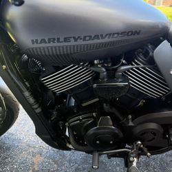2017 Harley Davidson 750cc Street Rod