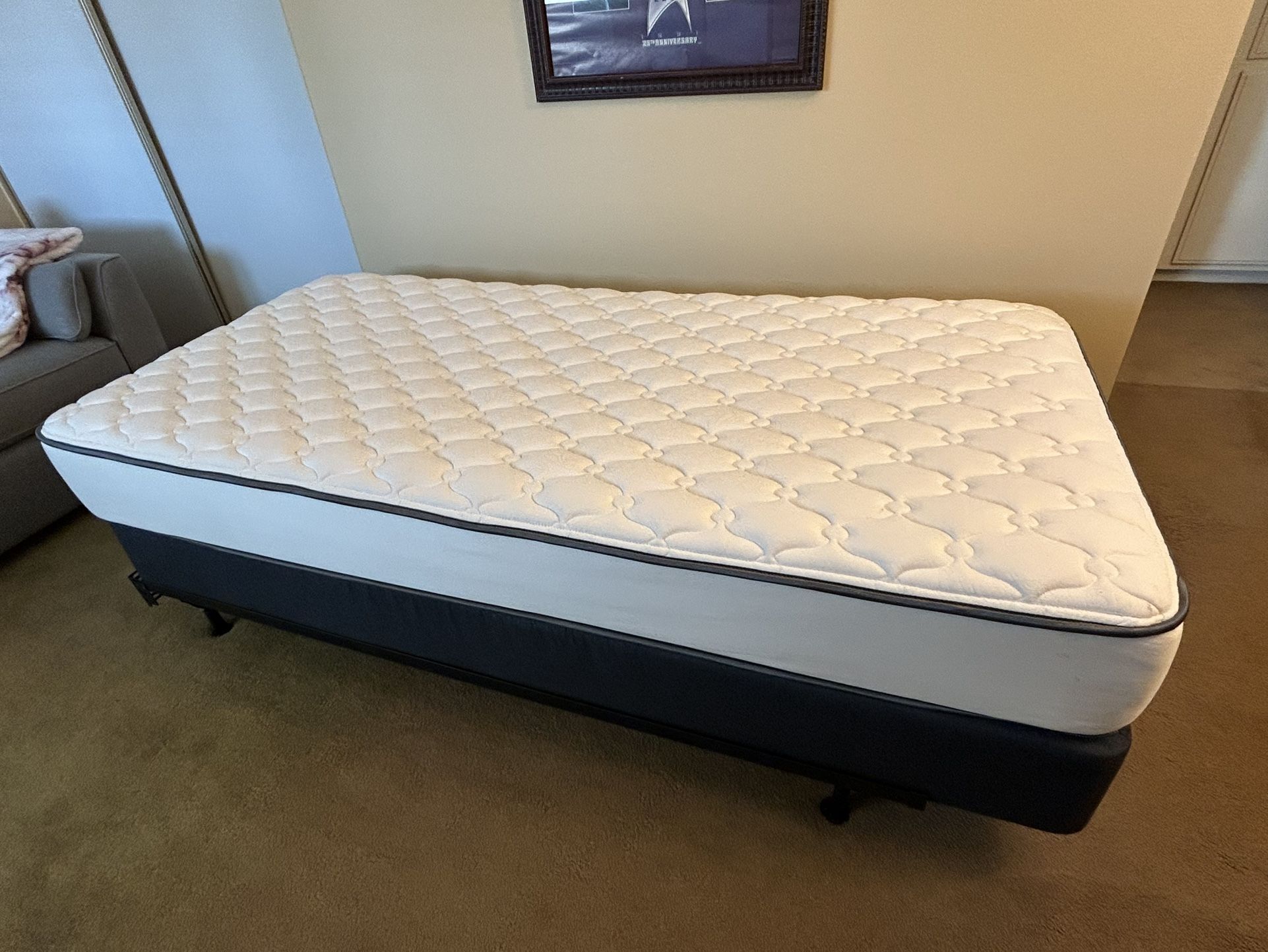 Extra Long Twin Bed Mattress, Box Spring, And Frame