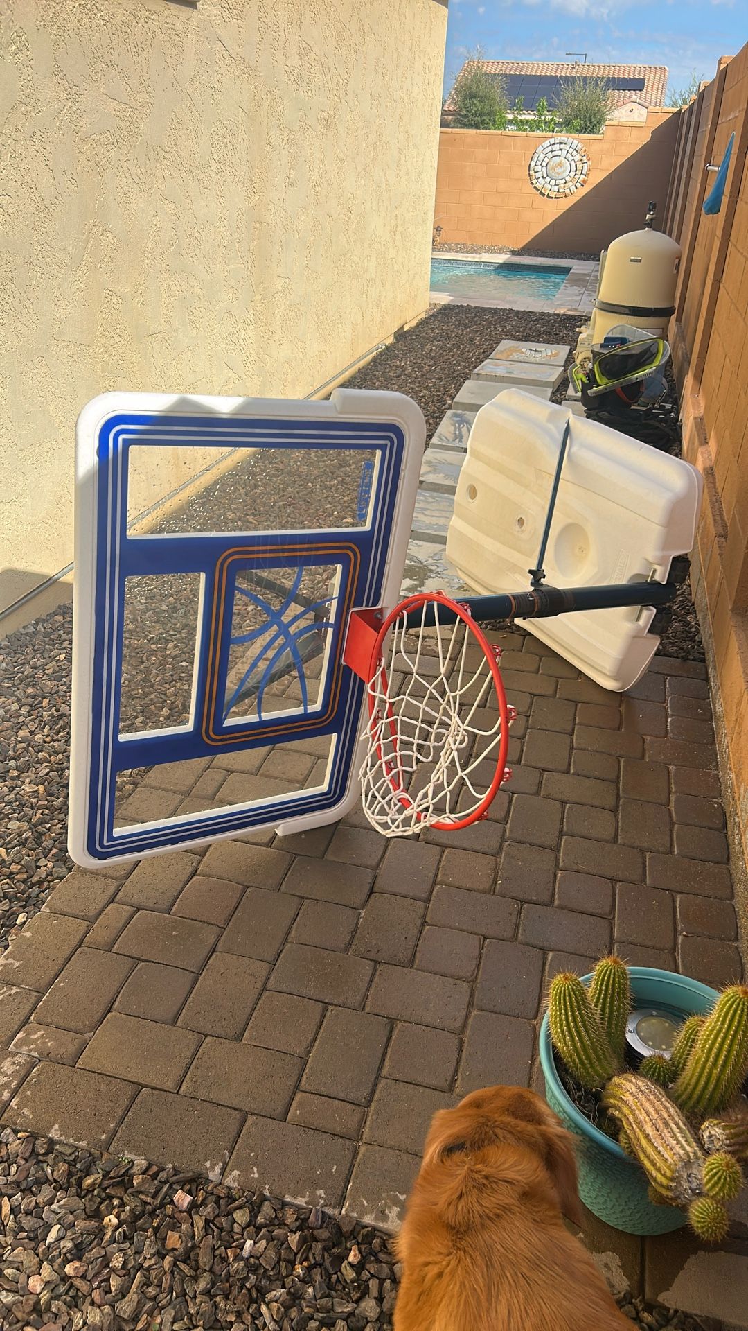 Pool Basketball Hoop