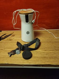 Furbo And Fi Tracking Collar.