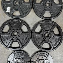 Weider Standard Weights