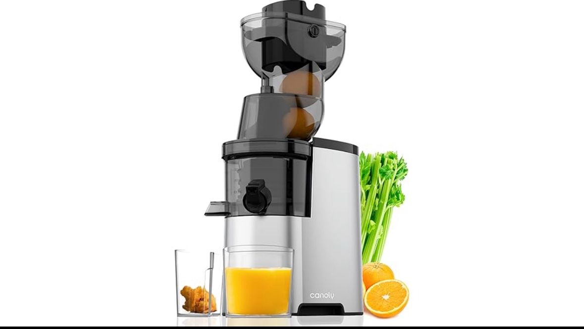 New Masticating Juicer Machine