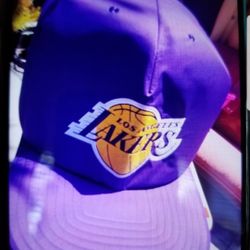 Lakers Dog House New $100