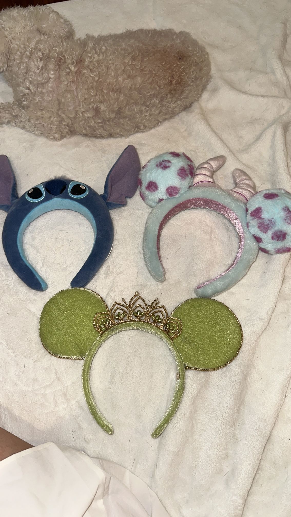 Disney Ears