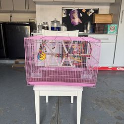 Bird cage 