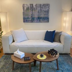Scandinavian Leather couch 