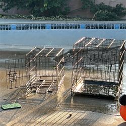 Dog Cages