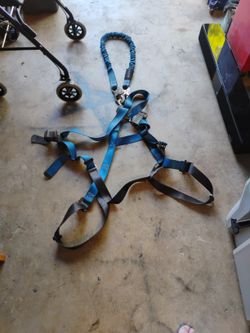 Fall Arrest With Lanyard