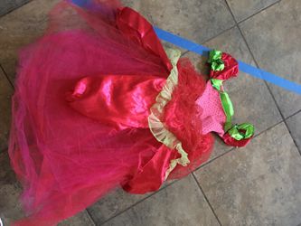 Strawberry Shortcake Size 3 or older