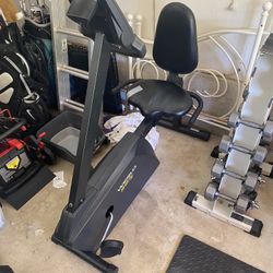 Weslo Pursuit E45 Recumbent Bike