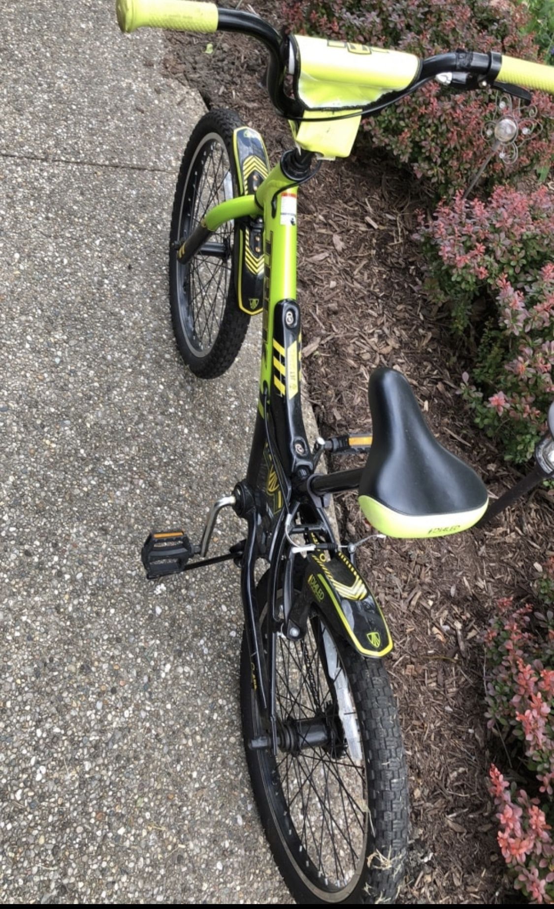 Trek Bike