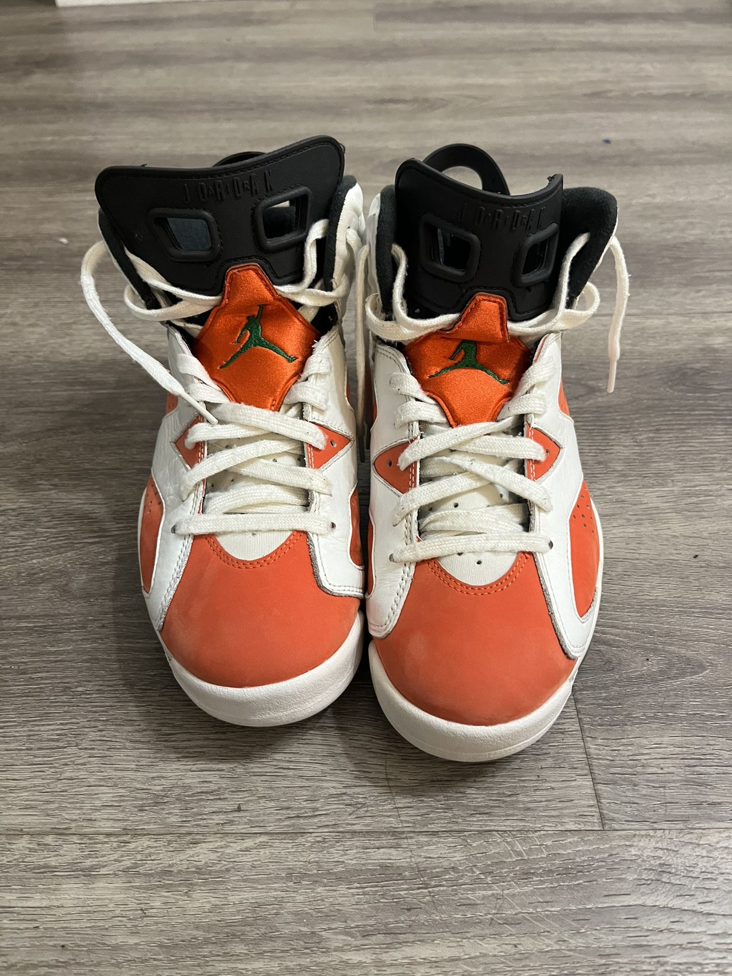 Gatorade Jordan 6s