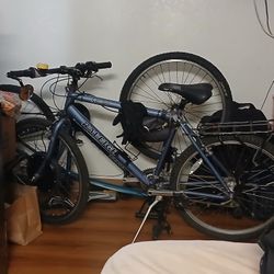 36 V 500watt Brushless Front Wheel Motor Hub