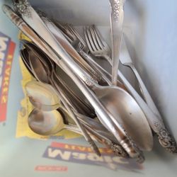 Prestige Plate Stainless Silverware Antique 