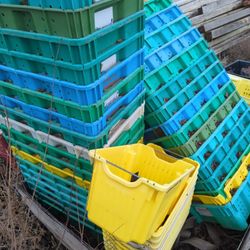 Fruit Picking Bins Stackable 