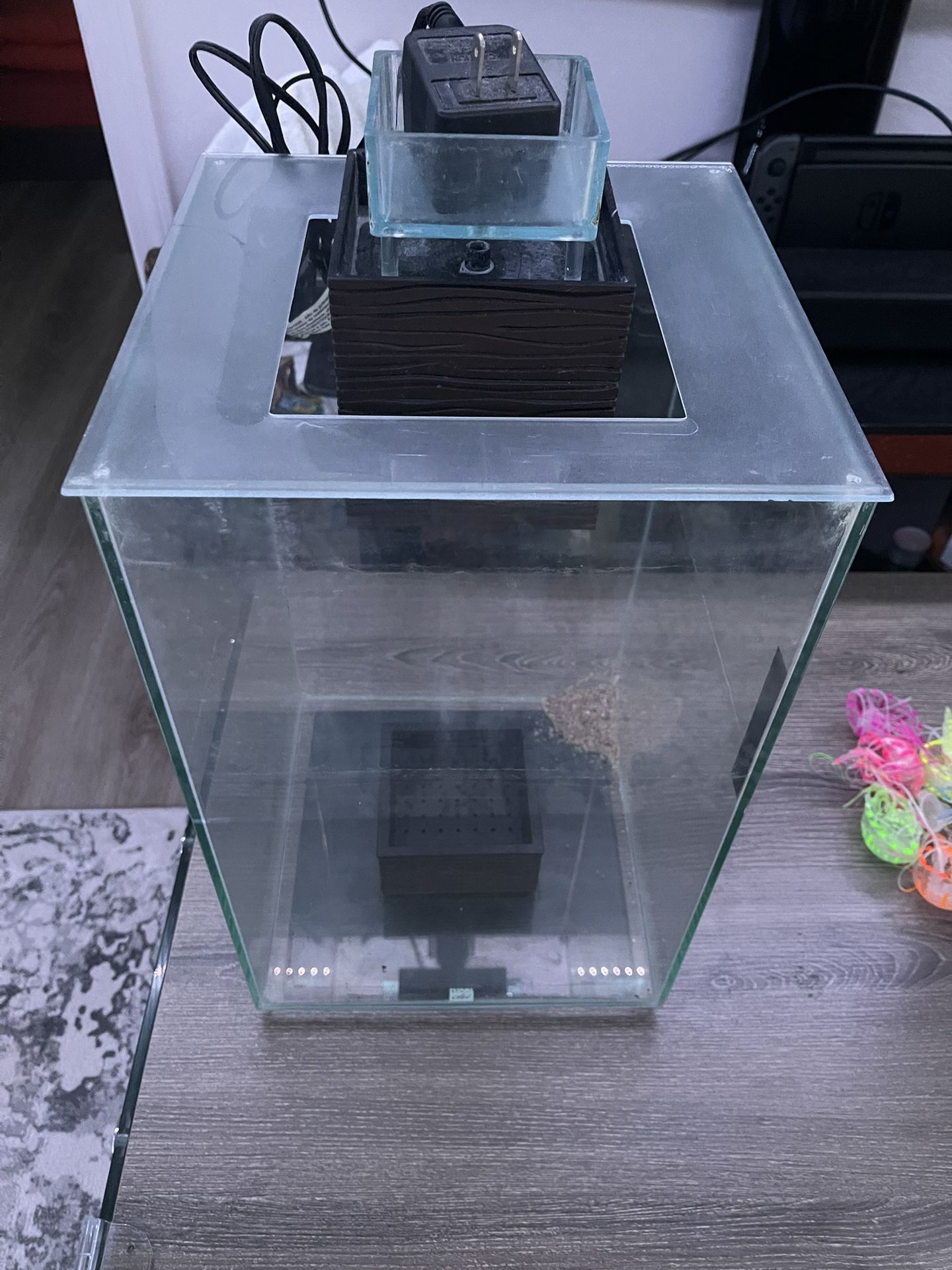 5 Gallon Fluval Chi