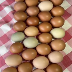 EGGS Chicken 🐓 Eggs 7.00 a Dozen 