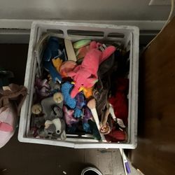 Tom’s Of Beanie Babies 