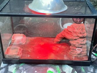 Tang Garland terrarium tank