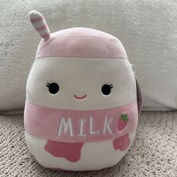 Squishmallow 