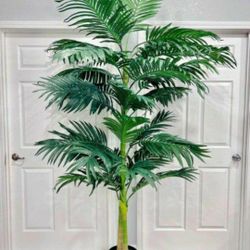 8' Foot Golden Cane Silk Palm Tree Plant 