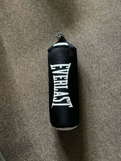 Everlast 60lbs Punching Bag
