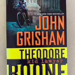 Theodore Boone, Kid Lawyer