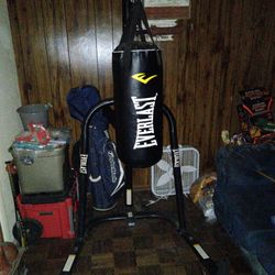 Everlast Punching Bag and Frame. 