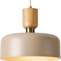 Contemporary Pendant Lights with Wood Cap Brass Accent 12 inch Brown Metal Shade