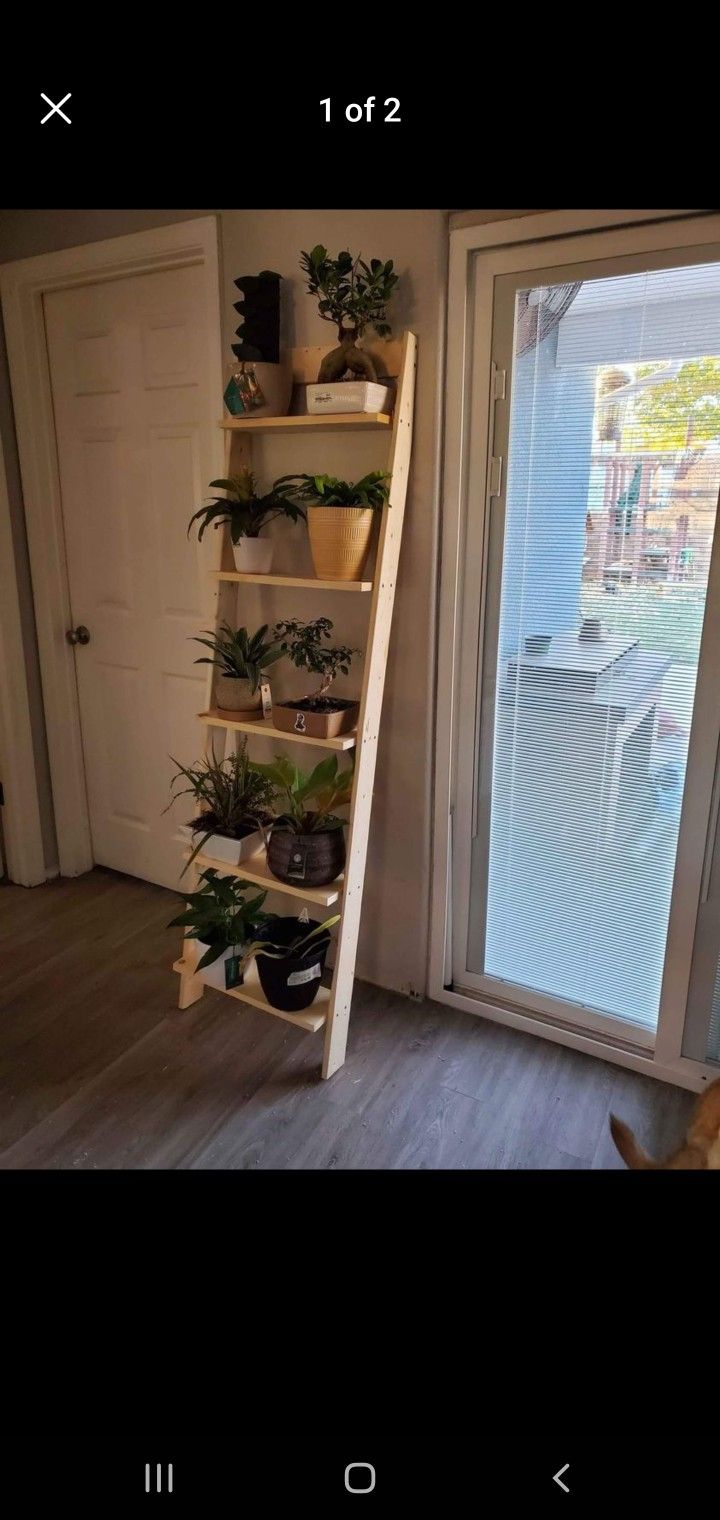 Wooden Planter Ladder