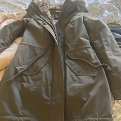 Hollister Jacket 