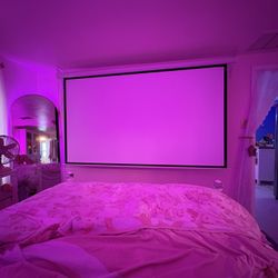 100inch Projector Screen