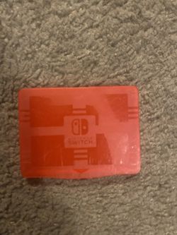 Nintendo Case