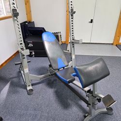 Bench Press Preacher Curl Leg Curl
