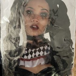 Clown Evil Fancy Halloween Costume Wig
