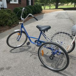 Cignal Basket Bicycle