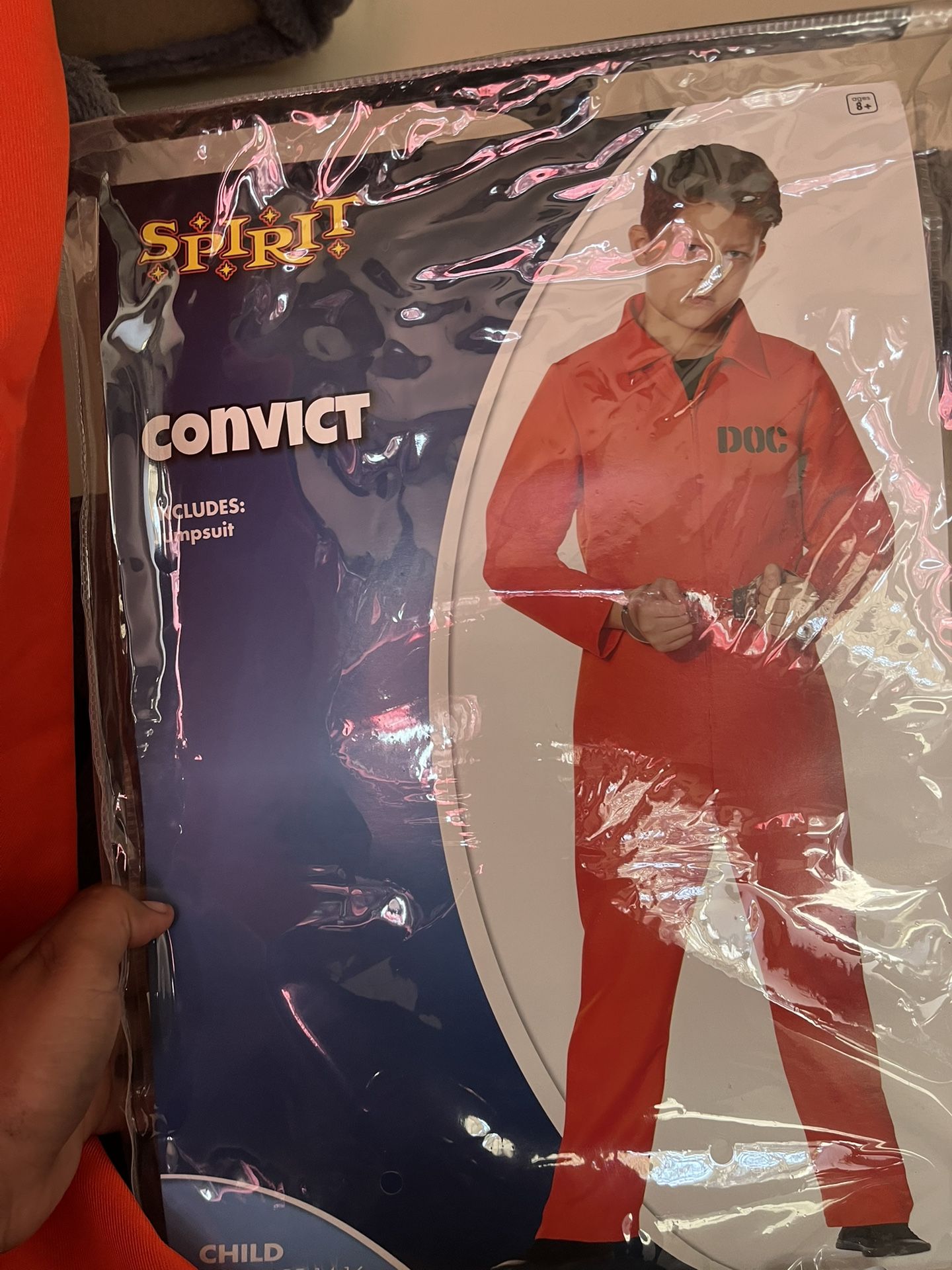 Halloween Prisoner Costume