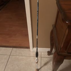 Profishency Spinning rod