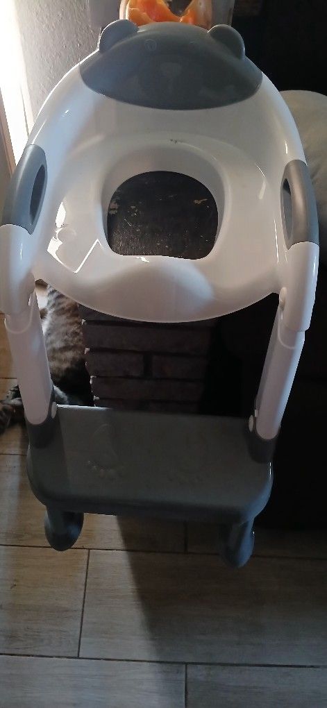 Sky Roku Training Potty