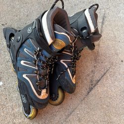 Roller Blades
